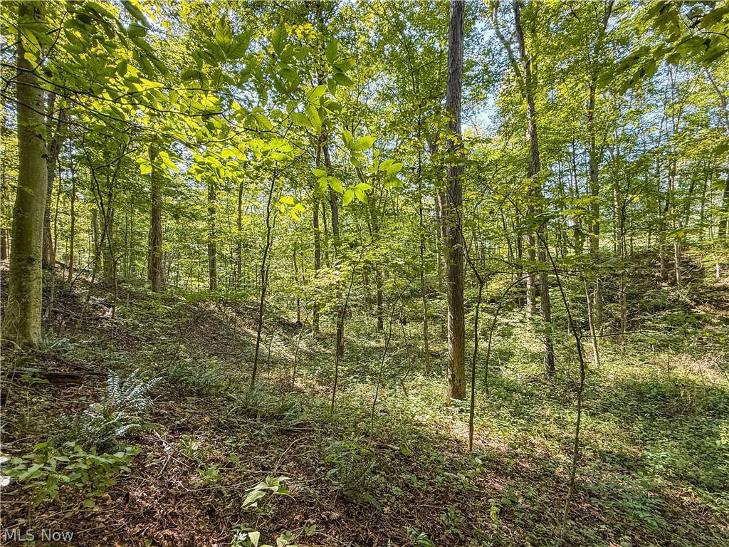 29556 Township Road 209 Coshocton OH 43812
