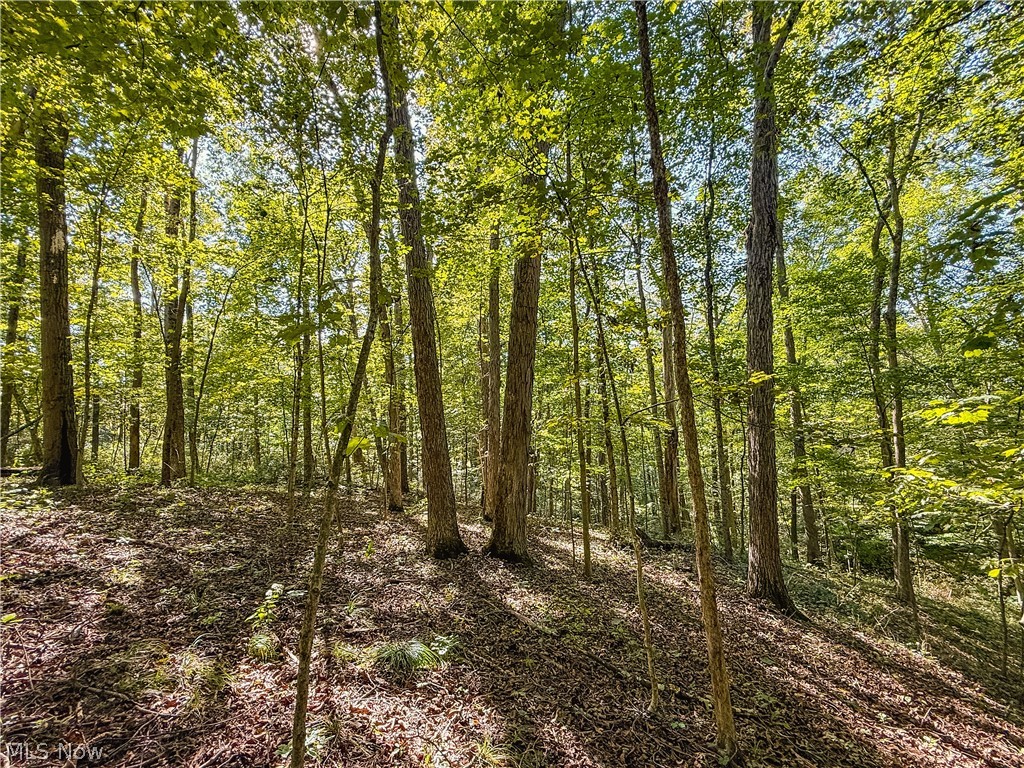 29556 Township Road 209 Coshocton OH 43812