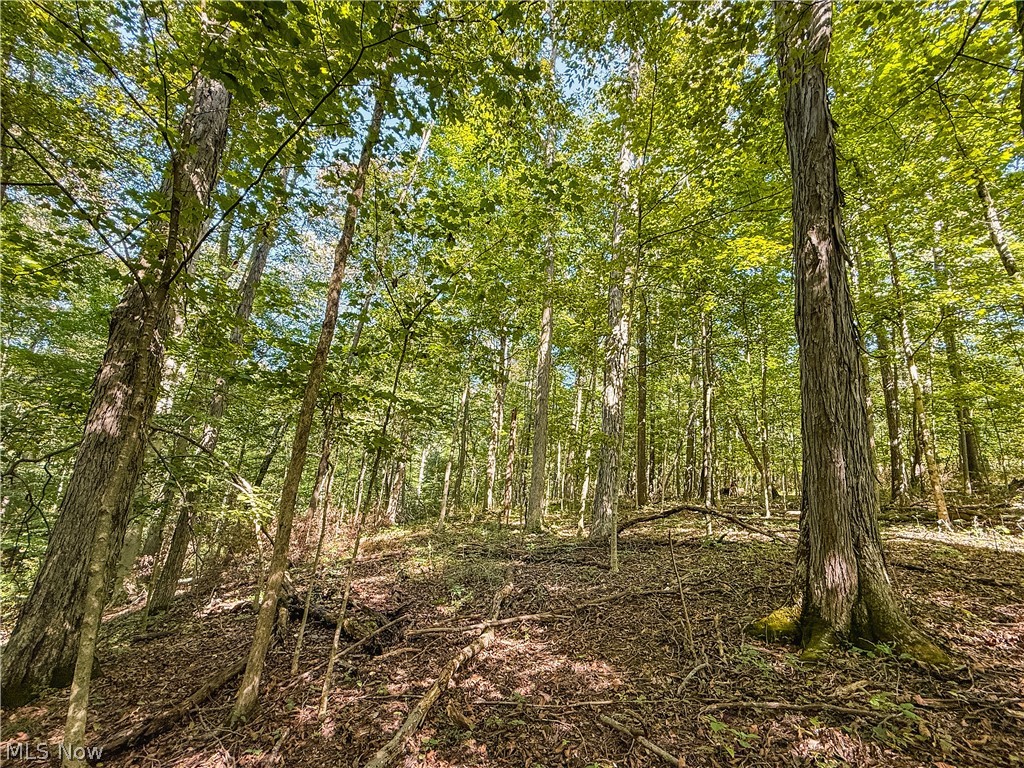 29556 Township Road 209 Coshocton OH 43812