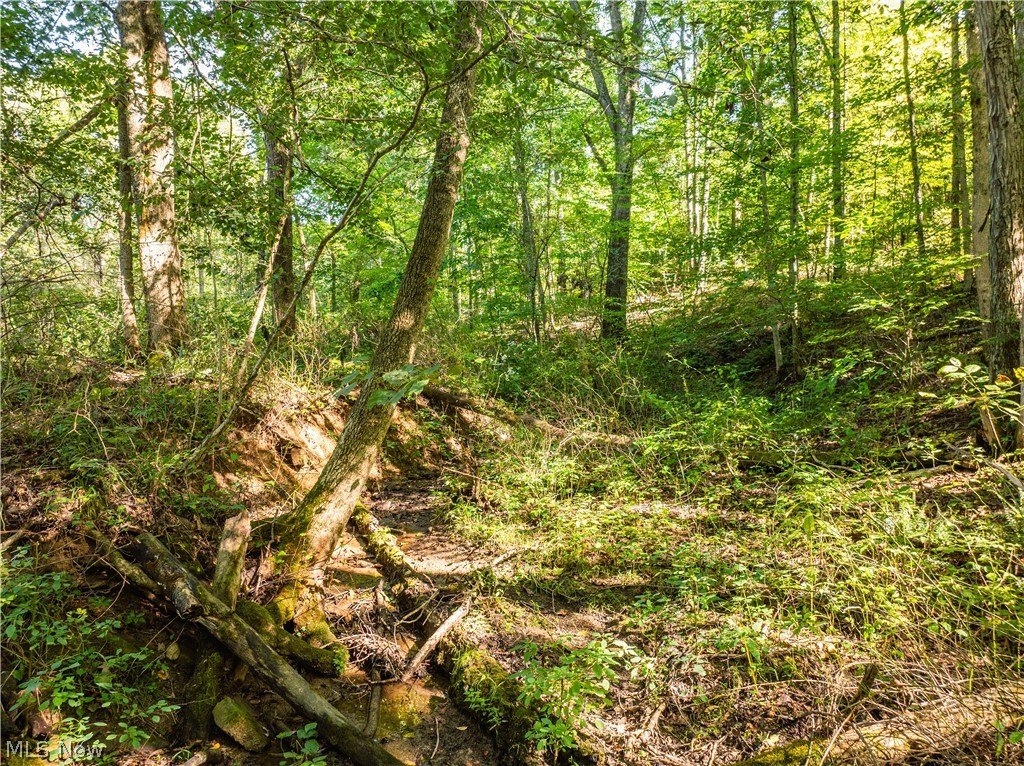 29556 Township Road 209 Coshocton OH 43812