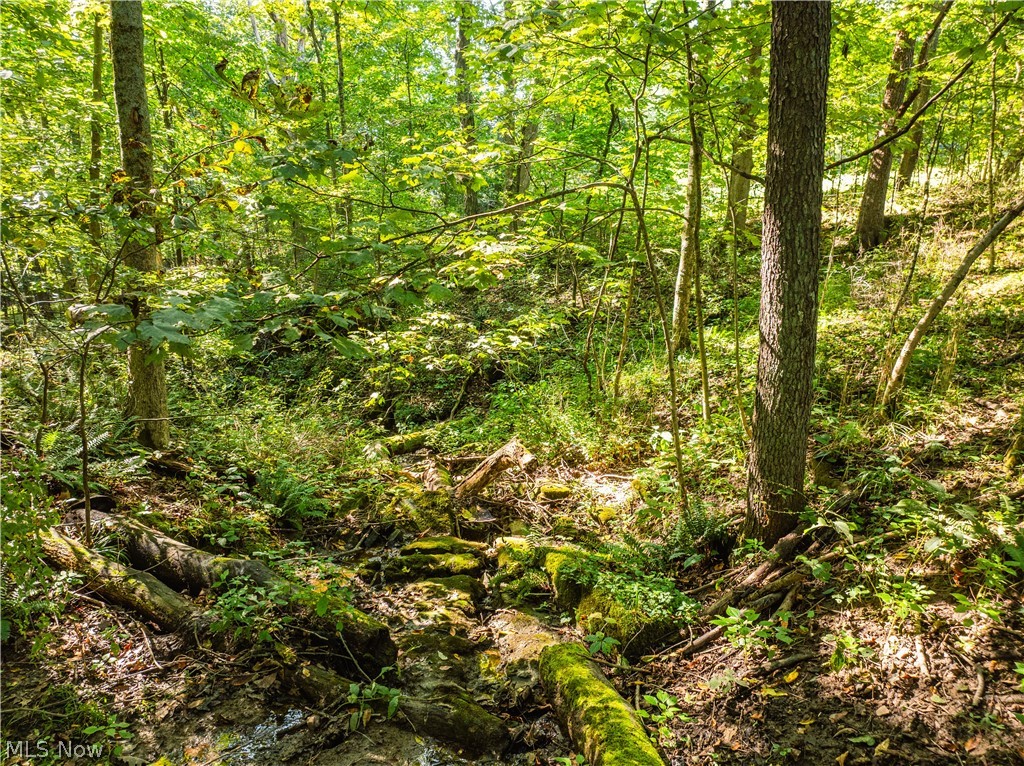29556 Township Road 209 Coshocton OH 43812