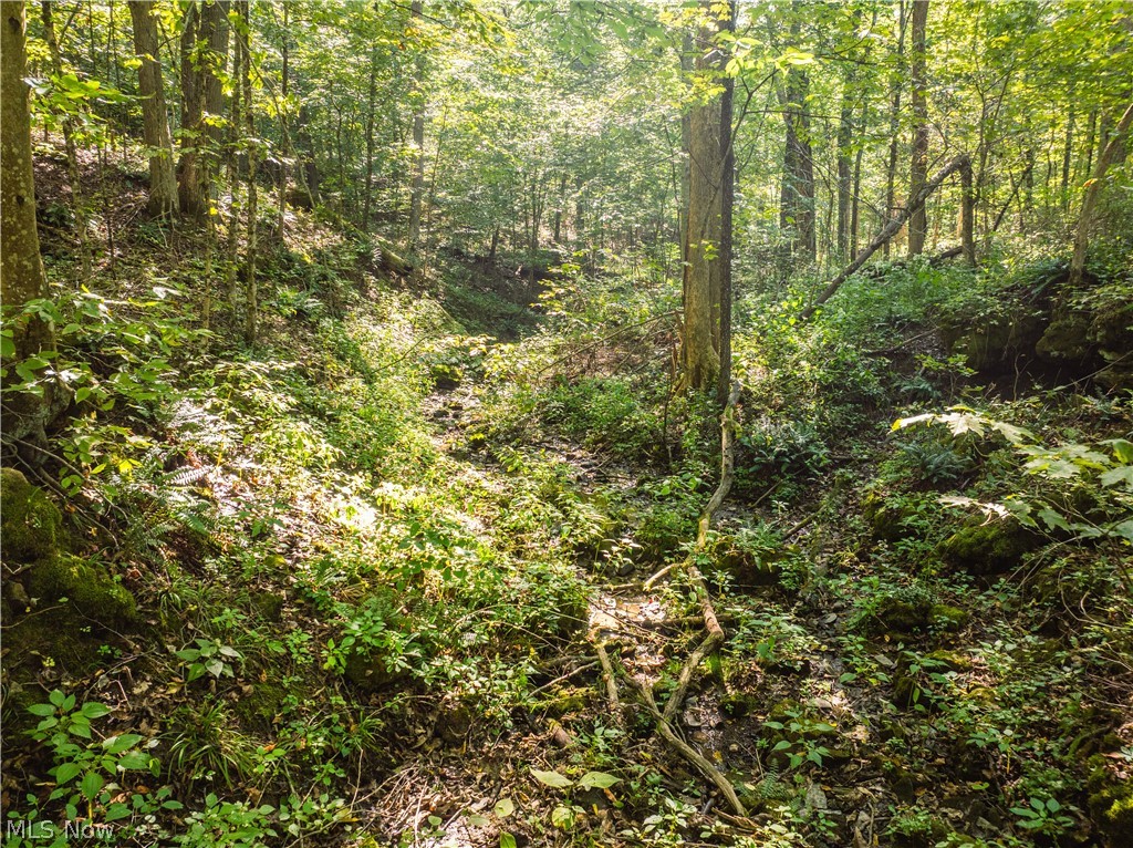 29556 Township Road 209 Coshocton OH 43812