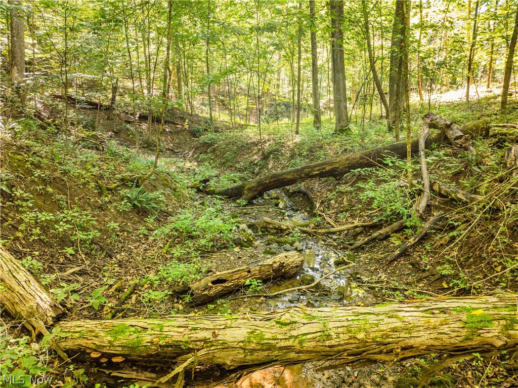 29556 Township Road 209 Coshocton OH 43812
