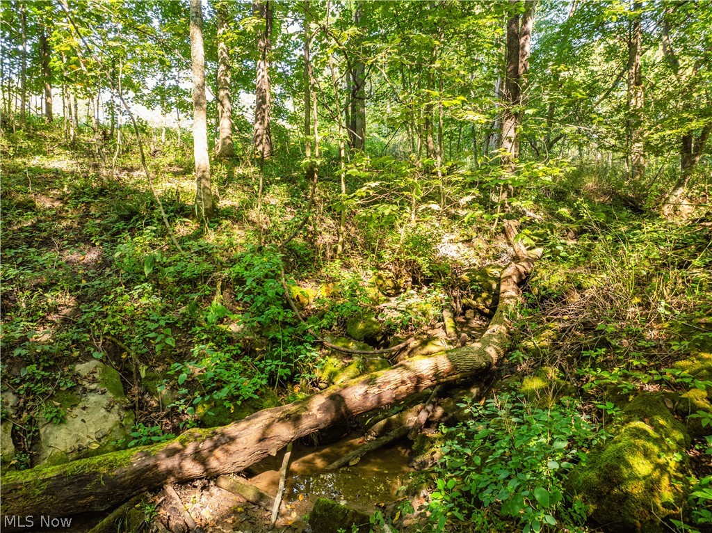 29556 Township Road 209 Coshocton OH 43812