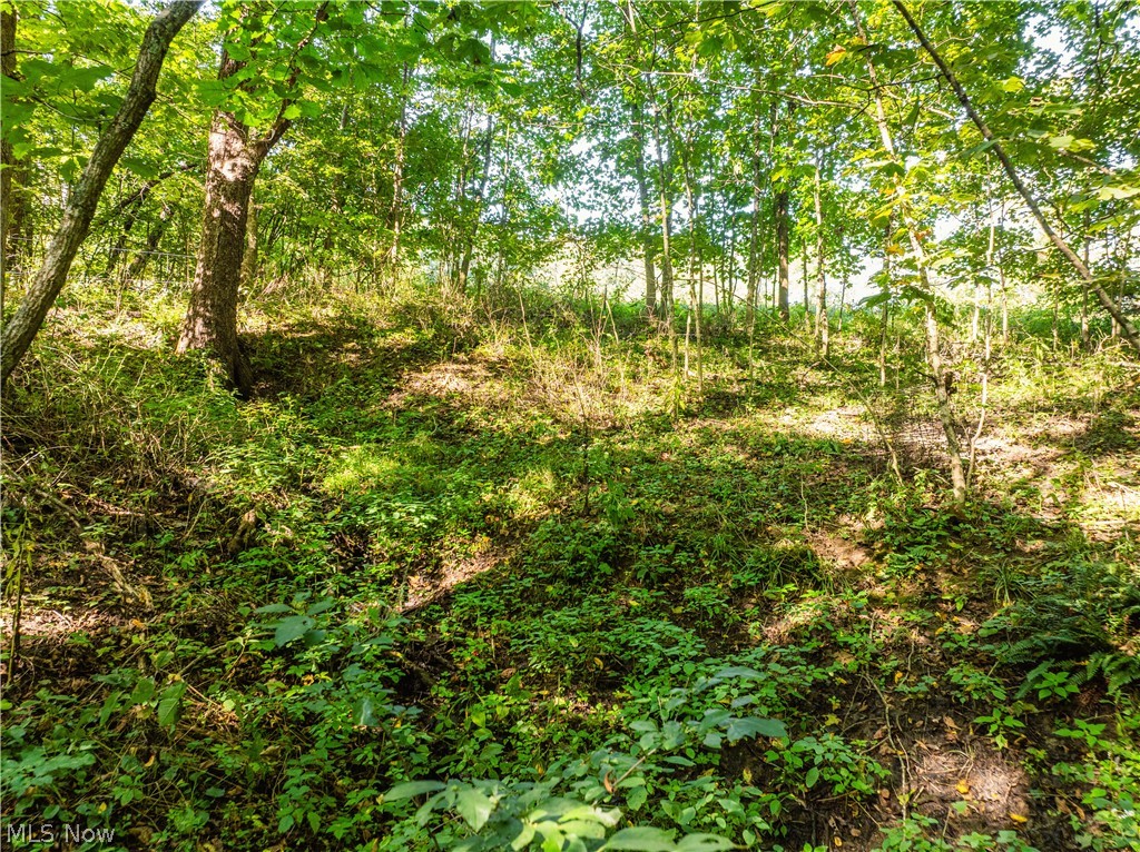 29556 Township Road 209 Coshocton OH 43812