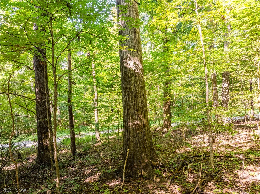 29556 Township Road 209 Coshocton OH 43812