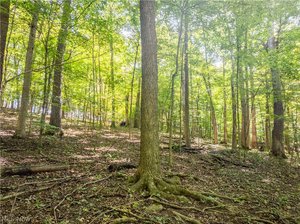 29556 Township Road 209 Coshocton OH 43812
