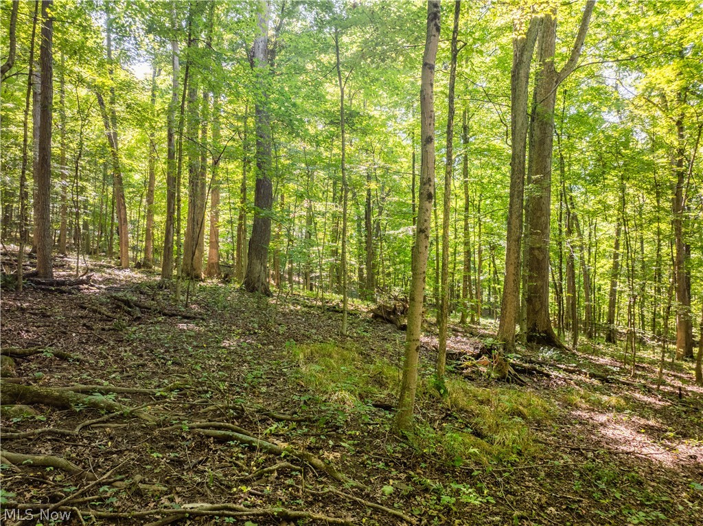 29556 Township Road 209 Coshocton OH 43812