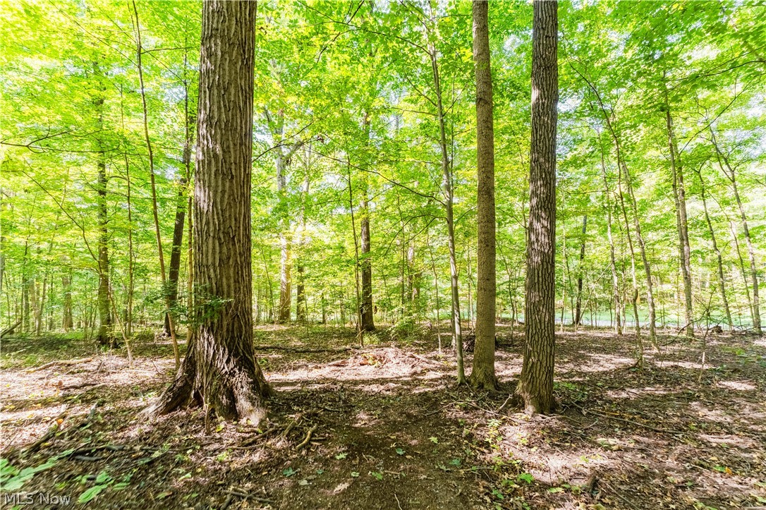 29556 Township Road 209 Coshocton OH 43812