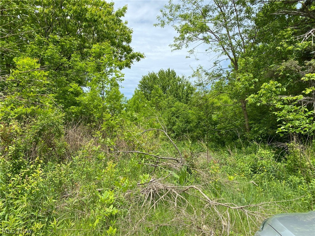 5323 N River State Road 307 Road Geneva OH 44041