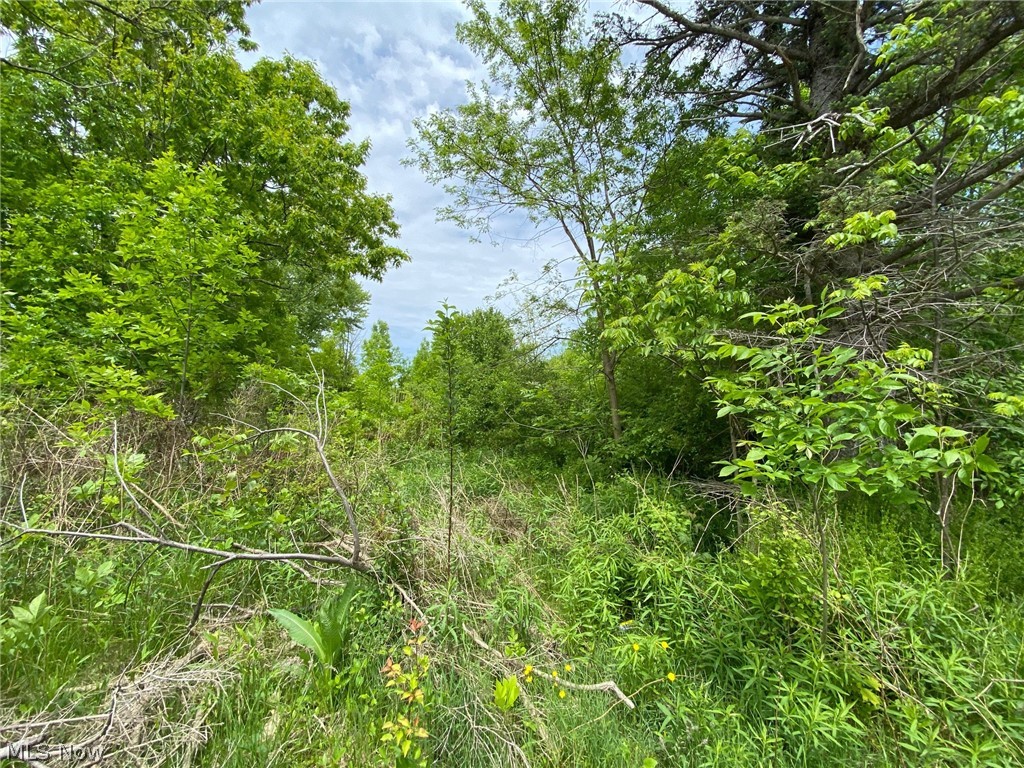 5323 N River State Road 307 Road Geneva OH 44041