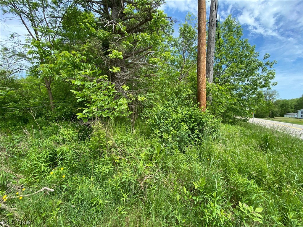 5323 N River State Road 307 Road Geneva OH 44041