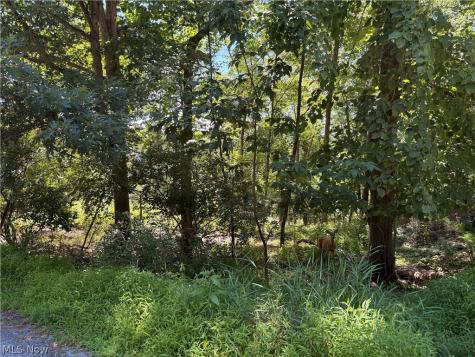 Lot 1623 Comanche Trail Malvern OH 44644