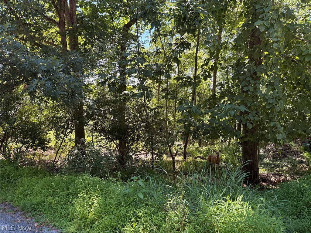 Lot 1623 Comanche Trail Malvern OH 44644