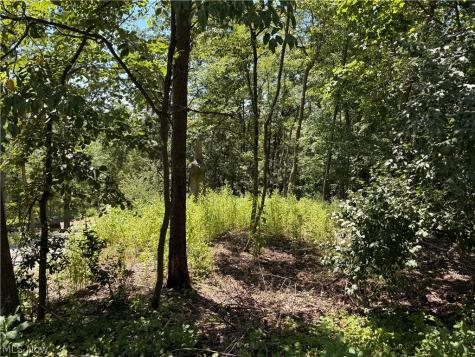 Lot 1623 Comanche Trail Malvern OH 44644