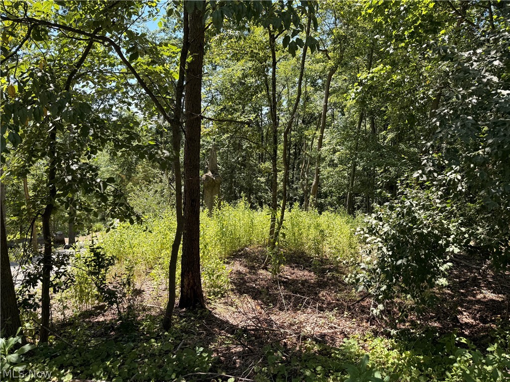 Lot 1623 Comanche Trail Malvern OH 44644