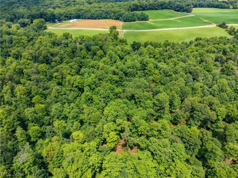 Township Road 2156 Ashland OH 44805