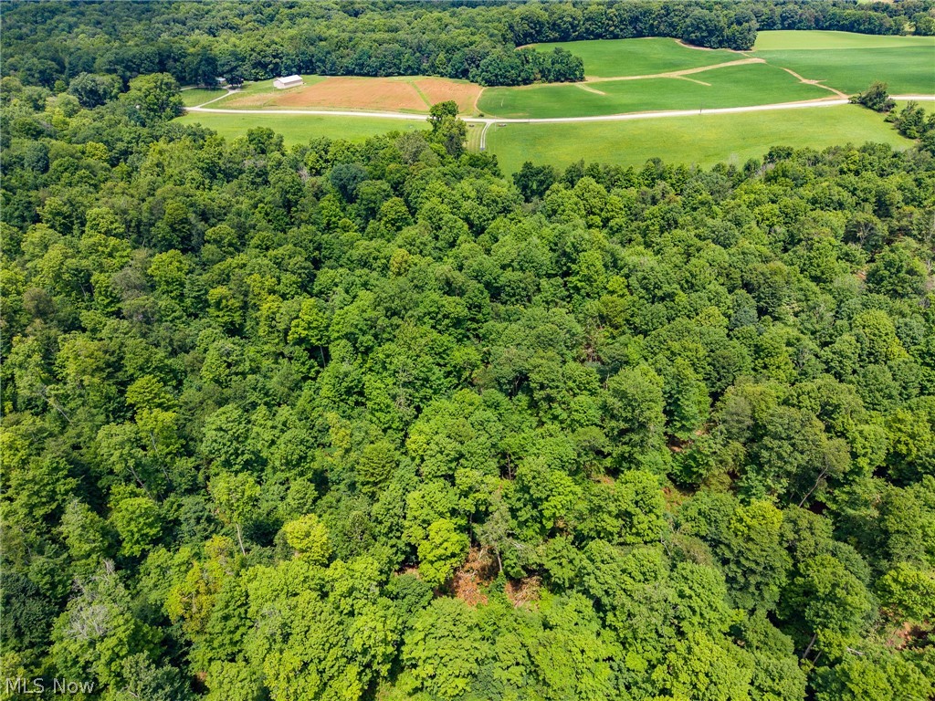 Township Road 2156 Ashland OH 44805