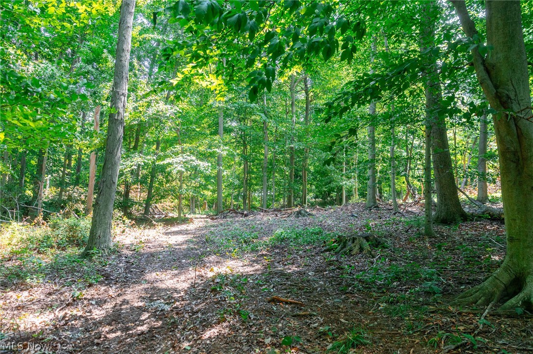 Township Road 2156 Ashland OH 44805