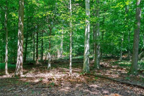 Township Road 2156 Ashland OH 44805