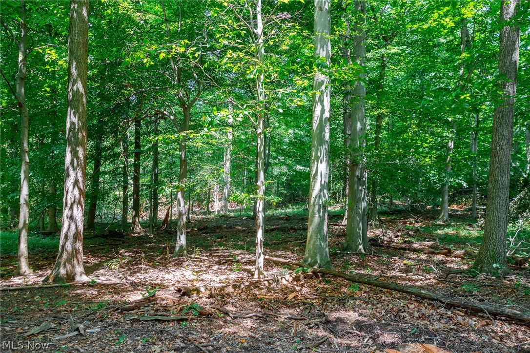 Township Road 2156 Ashland OH 44805
