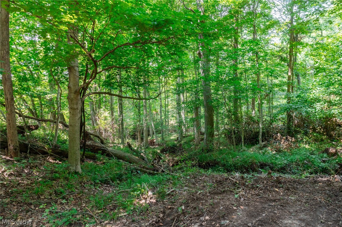 Township Road 2156 Ashland OH 44805