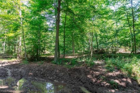Township Road 2156 Ashland OH 44805