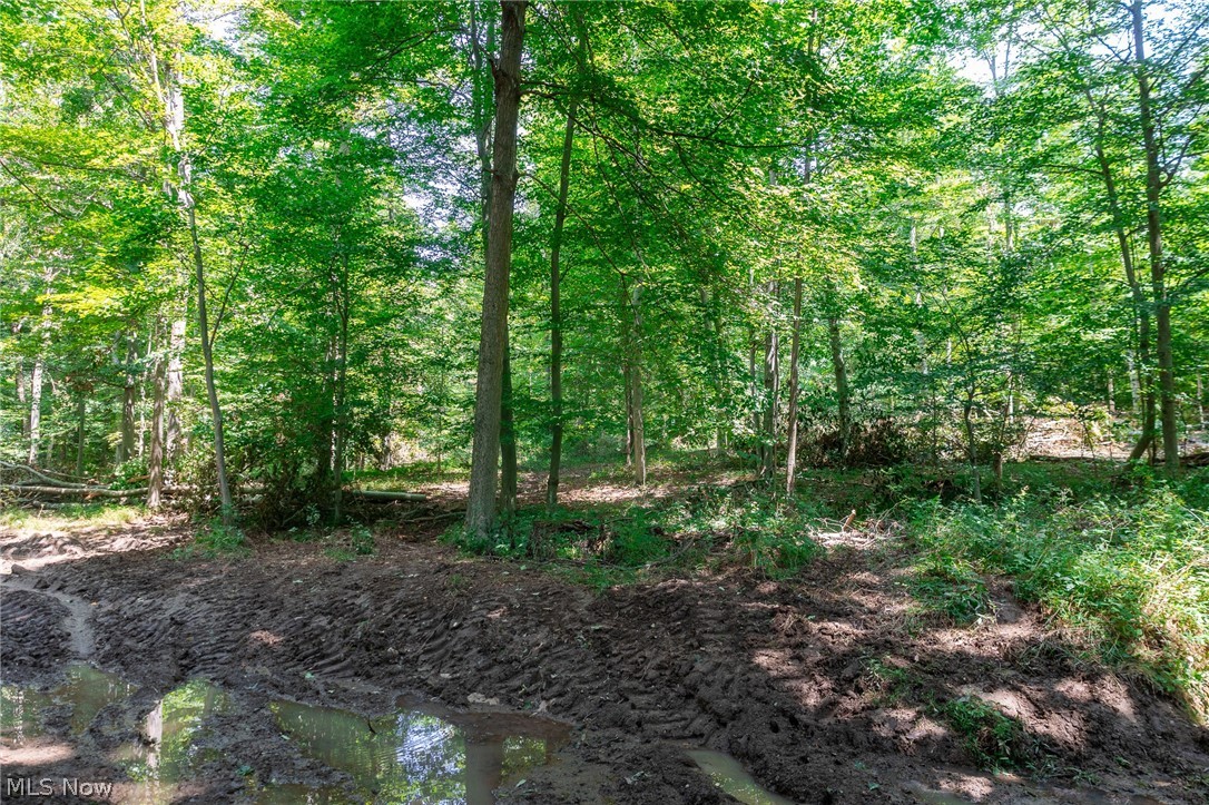 Township Road 2156 Ashland OH 44805