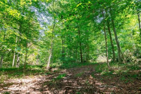 Township Road 2156 Ashland OH 44805