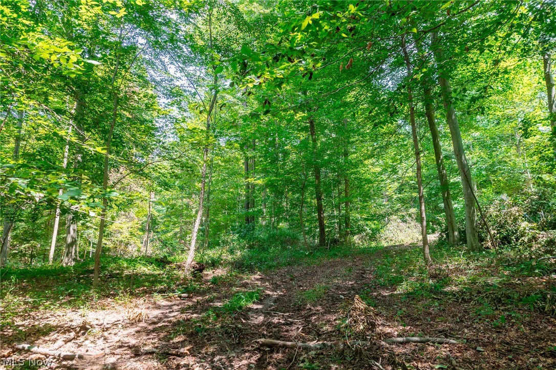 Township Road 2156 Ashland OH 44805