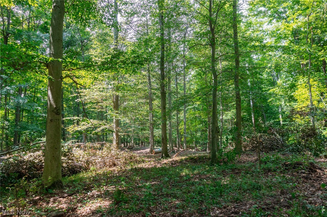Township Road 2156 Ashland OH 44805