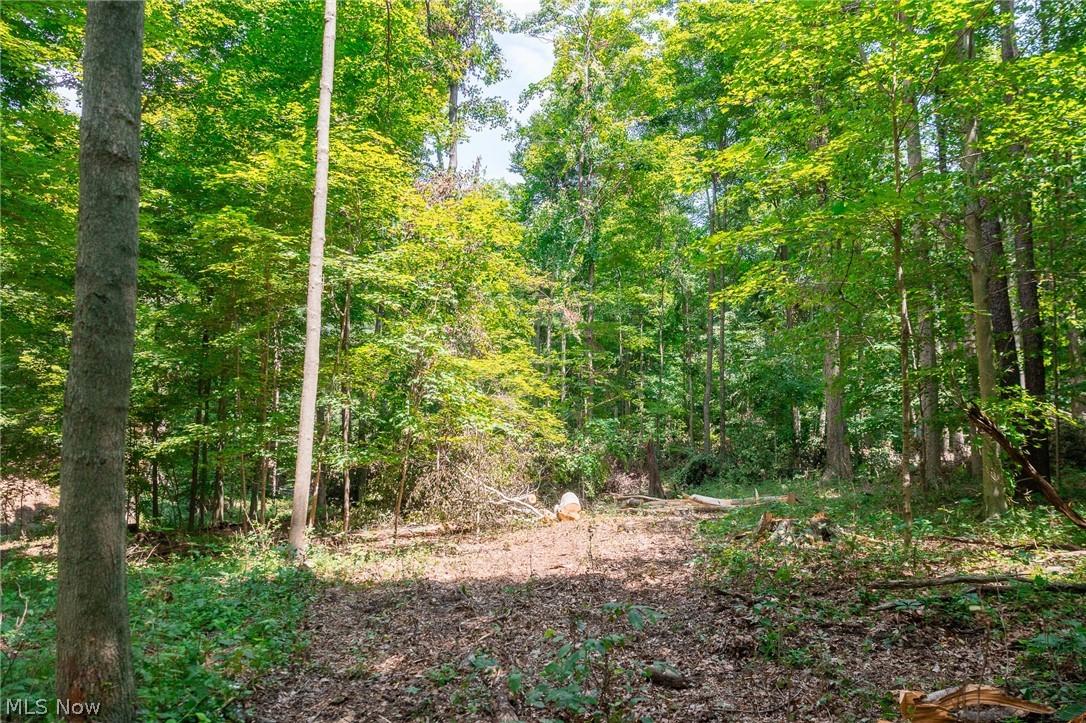 Township Road 2156 Ashland OH 44805