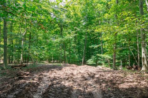 Township Road 2156 Ashland OH 44805