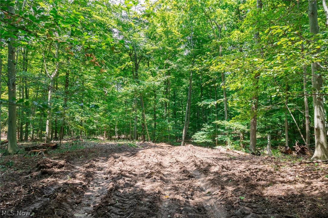 Township Road 2156 Ashland OH 44805
