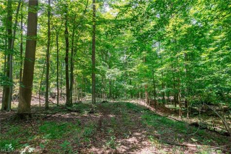Township Road 2156 Ashland OH 44805