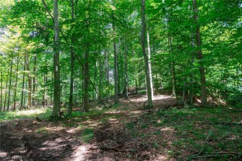 Township Road 2156 Ashland OH 44805