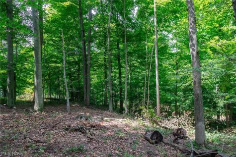 Township Road 2156 Ashland OH 44805