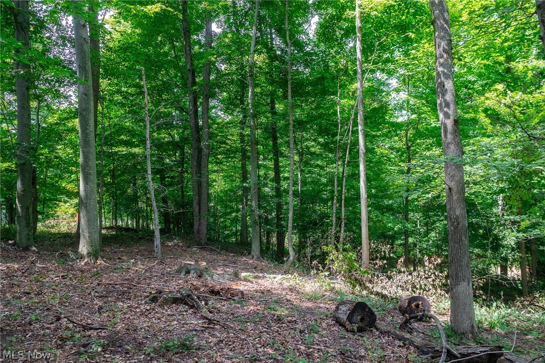 Township Road 2156 Ashland OH 44805