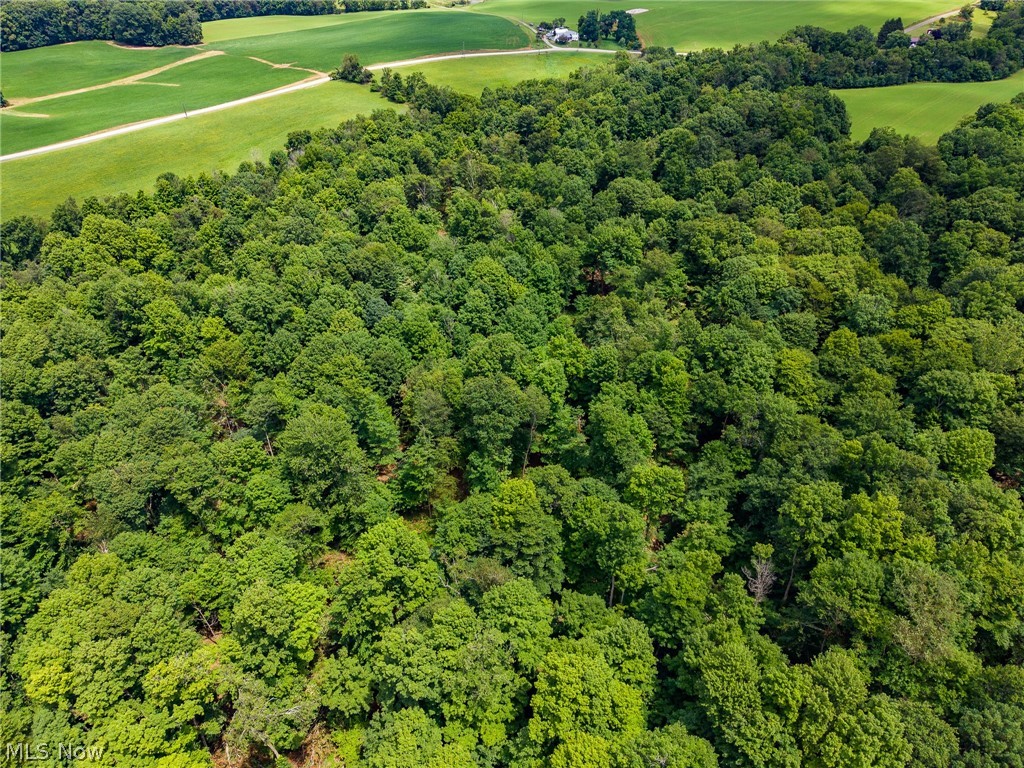 Township Road 2156 Ashland OH 44805