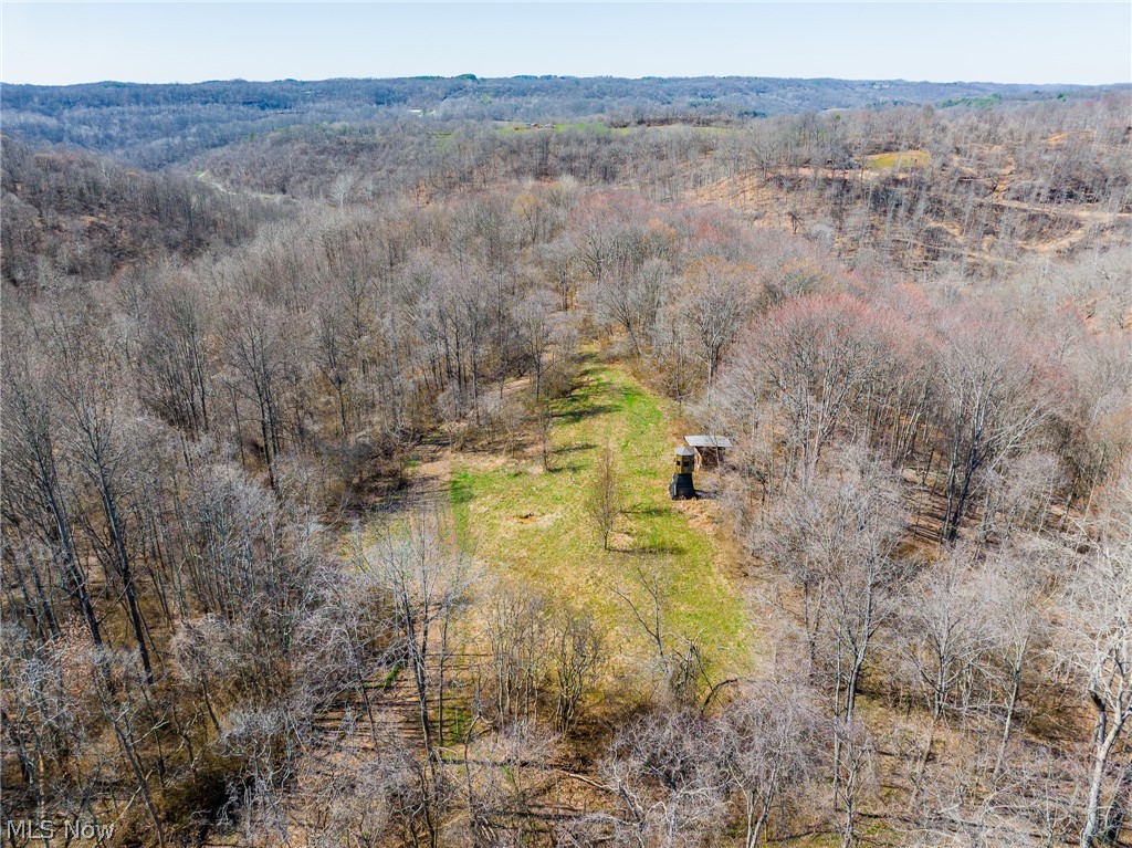 Sheepskin Ridge Road Lower Salem OH 45745