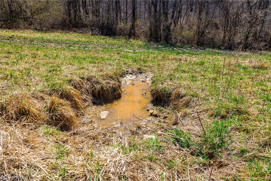 Sheepskin Ridge Road Lower Salem OH 45745