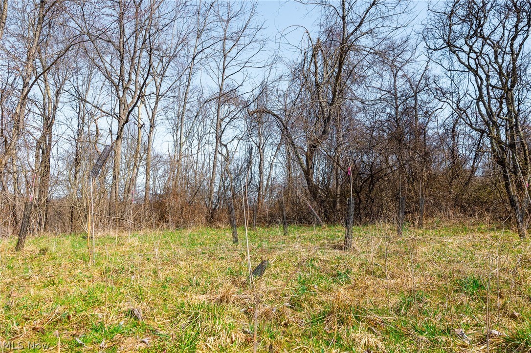 Sheepskin Ridge Road Lower Salem OH 45745