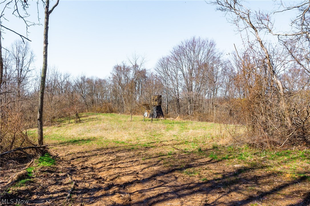 Sheepskin Ridge Road Lower Salem OH 45745