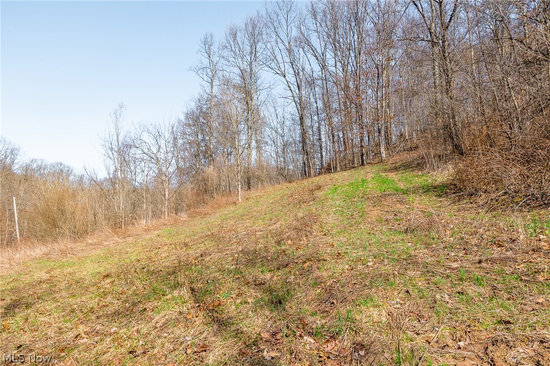 Sheepskin Ridge Road Lower Salem OH 45745