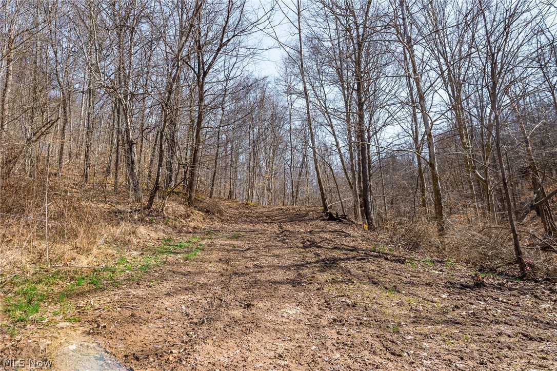 Sheepskin Ridge Road Lower Salem OH 45745