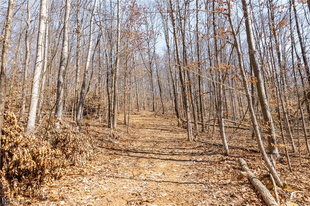 Sheepskin Ridge Road Lower Salem OH 45745