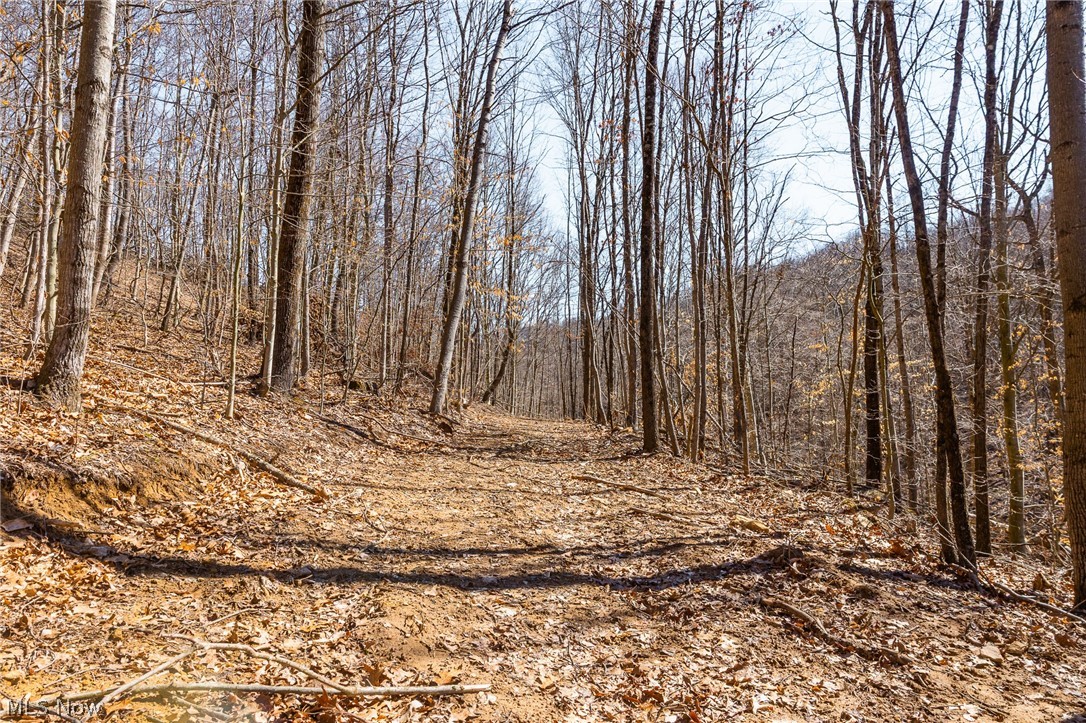 Sheepskin Ridge Road Lower Salem OH 45745