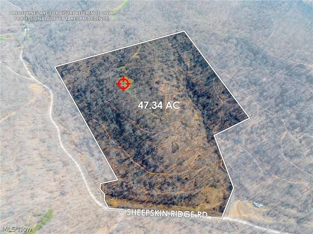 Sheepskin Ridge Road Lower Salem OH 45745