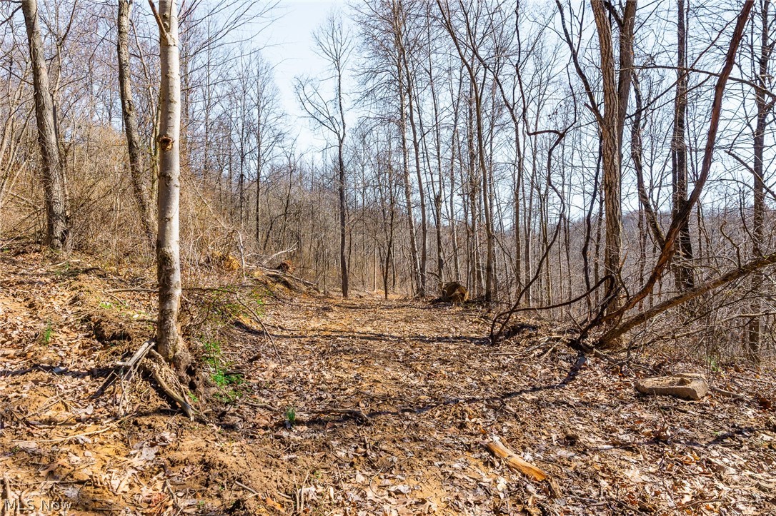 Sheepskin Ridge Road Lower Salem OH 45745