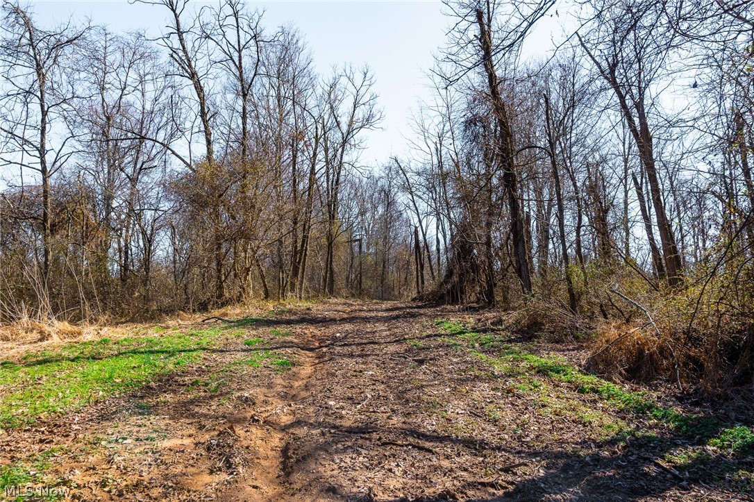 Sheepskin Ridge Road Lower Salem OH 45745